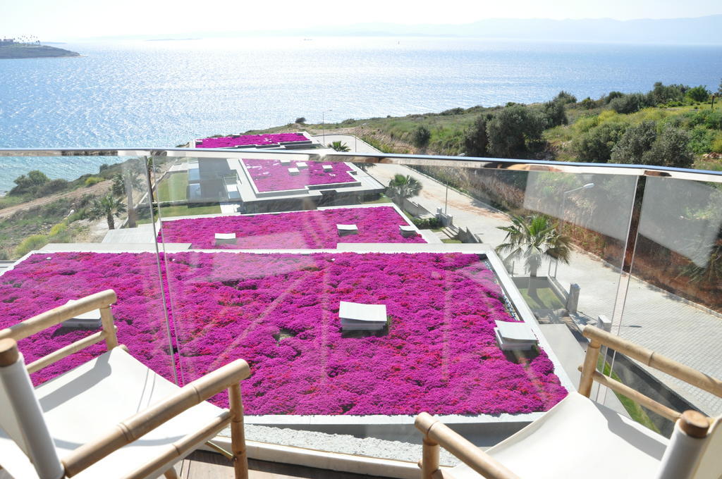 Sato Design Hotel (Adults Only) Çeşme Δωμάτιο φωτογραφία