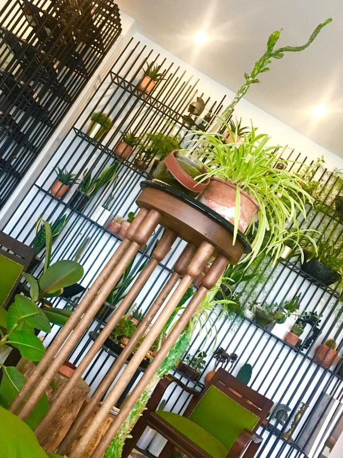 Sato Design Hotel (Adults Only) Çeşme Εξωτερικό φωτογραφία