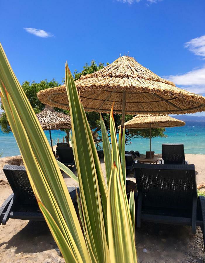 Sato Design Hotel (Adults Only) Çeşme Εξωτερικό φωτογραφία